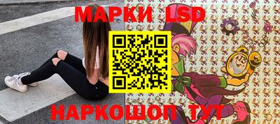 мдпв Гатчина