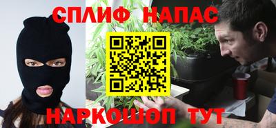 мдпв Гатчина