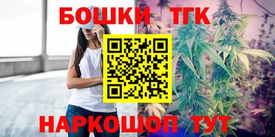 мдпв Гатчина
